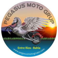 Pegasus Moto Grupo