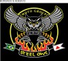 Moto Grupo Steel OWL